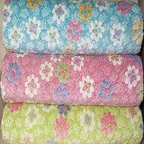 韩式外贸原单立体剪绒绗缝保暖双层加厚冬铺盖毯单人双人空调毯