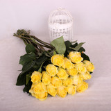 新鲜上市 黄色玫瑰鲜花批发 道歉周年玫瑰花语 北京鲜花速递
