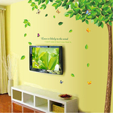 清新绿树装饰墙贴绿叶客厅电视背景墙贴画温馨卧室墙贴环保可移除