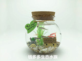 创意水族箱生态瓶泰国斗鱼观赏鱼微景观活体宠物办公桌小型鱼缸
