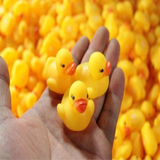 戏水洗澡玩具 搪胶小鸭子 迷你发声小黄鸭 浮水小黄鸭 玩具批发