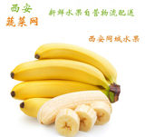 西安蔬菜网新鲜海南香蕉500g西安同城速递自营配送免运费