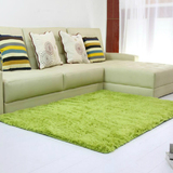 特价加厚可水洗丝毛客厅卧室茶几床边地毯可定做订制满铺可爱地垫