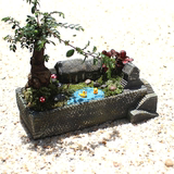 创意个性苔藓微景观桌面绿植小文竹榆树盆栽盆景复古做旧水泥花盆