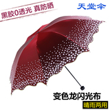 天堂伞正品黑胶超强太阳伞防晒防紫外线女遮阳伞折叠创意晴雨伞