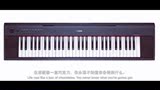 日本正品YAMAHA雅马哈电子钢琴61键piaggero便携键盘NP-11