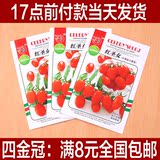 9.9包邮 圣女果种子四季种播易活种子小番茄水果种子阳台种菜盆栽