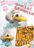 两根包邮 日本原单宠物狗狗泰迪贵宾发声玩具玉米耐咬乳胶玩具