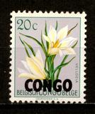 AC7-1 民主刚果 1960 比属刚果花卉邮票加盖改值 1枚新