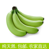 香蕉banana广东湛江青香蕉新鲜水果有机无公害包邮农家直供