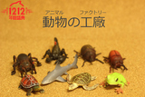 日本正版散货仿真海洋昆虫动物儿童早教认知玩具公仔
