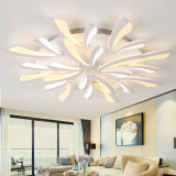 LED吸顶灯客厅简约现代卧室灯创意个性艺术房间灯亚克力异形灯具