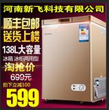 商用小冰柜家用小型冷冻冷藏立式迷你冷冻柜节能电冰箱新飞冷柜