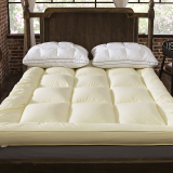 纯棉羽丝绒加厚床垫10厘米立体榻榻米床褥酒店学生床垫可折叠垫被
