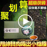 天天特价黑茶湖南安化安化黑茶荷香茯茶荷香茯砖茶980克特级安华