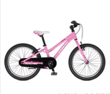 小小世界皇冠实店美国崔克Trek jet20寸儿童自行车代步车男女孩款