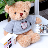 泰迪熊公仔小号毛绒玩具抱抱熊能录音说话娃娃创意生日礼物送女生