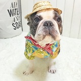 宠物衣服 海边沙滩衬衣 夏威夷度假风 法斗衣服 巴哥 胖狗衣服