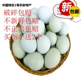 40枚绿壳蛋土鸡蛋农家散养新鲜当天自养纯天然孕妇月子儿童农村