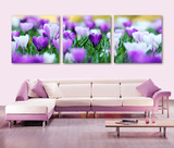 紫色花海客厅装饰画现代简约无框画三联画卧室沙发背景墙画