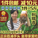 1份包邮还减10元 广西桂林特产荔浦芋头正宗农家有机新鲜贡品香芋