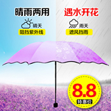 遇水开花晴雨伞折叠两用韩国创意女太阳伞防晒防紫外线遮阳伞三折