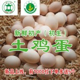 凉亭鸡蛋20枚 新鲜农家散养无公害土鸡蛋 初产蛋（初生蛋）