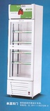 南凌冷柜LG-338-2L商用立式直冷冷藏展示柜|单温双门|保鲜啤酒柜