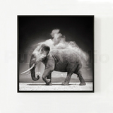 策梦艺术微喷现代客厅餐厅动物装饰画大象摄影简约挂画