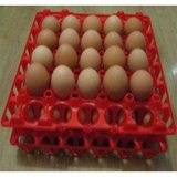 30枚鸡蛋蛋托，塑料蛋托，鸡蛋蛋架，批发价格3.2元