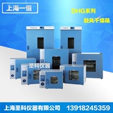 上海一恒 DHG-9030A(101-0A) 200度鼓风干燥箱/烘箱/烤箱/高温箱