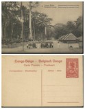 比属刚果1917年棕榈树下的工人露天列队新邮资片