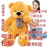 布娃娃毛绒玩具熊1.6米泰迪熊1.8米2熊猫大号生日礼物抱抱熊大熊