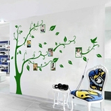 墙贴 学校教室布置公司企业文化墙伸展照片树相片树玻璃橱窗贴纸