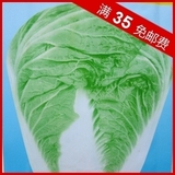 出售蔬菜种子 山东四号 白菜种子 大包装 约200粒 家庭装。