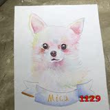 宠物狗插画手绘头像画像设计宠物装饰肖像画定制彩色宠物猫猫狗狗