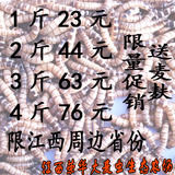 江西大麦虫 超级面包虫养殖场直销   每斤23元 限江西周边省份