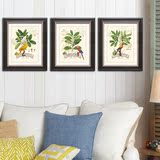 美式田园风格叶与鹦鹉 卧室客厅 沙发墙装饰画 植物花卉组合壁画