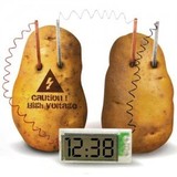 正品 供电土豆钟 发电创意闹钟 LED钟感应科学实验玩具礼物圣诞节