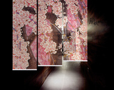 【兰氏艺术家居】时尚的半透明软屏风 软隔断 挂帘 花雨 RGD-233