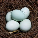 武陵山区农家高山放养生态新鲜绿壳土鸡蛋 月子孕妇宝宝辅食包邮