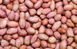 农家自产年新货大花生米 有机绿色食品  养胃 豆浆必备