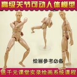 动漫美术素描速写绘画漫画工具人体模型男关节人偶塑胶木头人木人