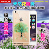 iphone6 plus手机壳 苹果6S 4.7寸清新真花瓣干花全包边透明软壳