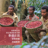 新品  埃塞俄比亚 西达摩 夏基索 日晒泰德庄园咖啡熟豆杏桃香甜