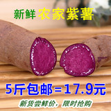 新鲜紫薯 农家自产自种 沂蒙山有机地瓜紫地瓜 包邮紫心番薯 500g