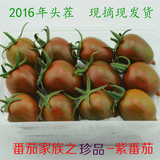 新鲜有机蔬菜水果迷彩紫色小番茄西红柿圣女果洋柿子农家自种500g