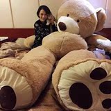 美国大熊超大号毛绒玩具1.6米泰迪熊布娃娃熊猫公仔女生抱抱熊1.8