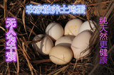 30枚包邮陕西黄龙农家土鸡蛋 山林低密度散养有机土鸡蛋新鲜鸡蛋