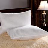 特价包邮保健枕头枕芯一对舒适护颈枕成人冬季羽丝绒枕单人颈椎枕